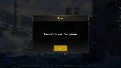 PUBG Mobile India Server Shutdown
