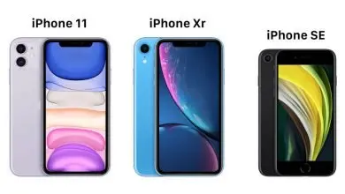 iPhone 11 iPhone XR iPhone SE Price in India Reduced
