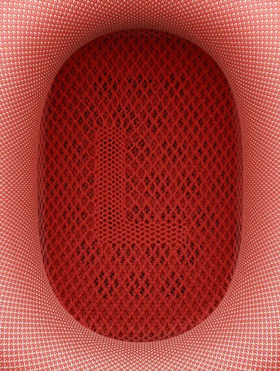 AirPods Earcup Mesh