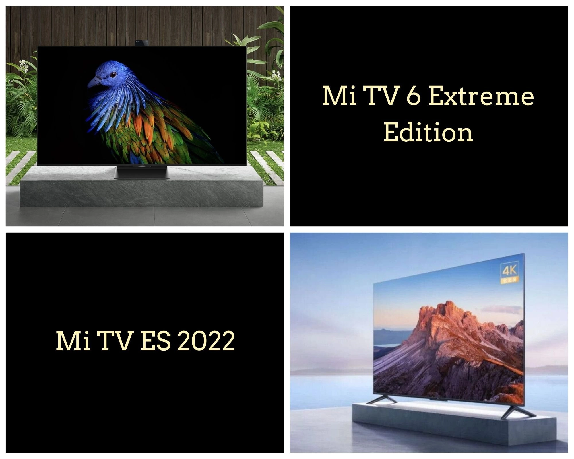 Mi TV 6 Extreme Edition And Mi TV ES 2022