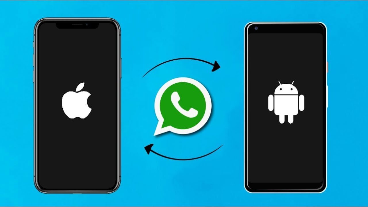 Whatsapp Chat Transfer